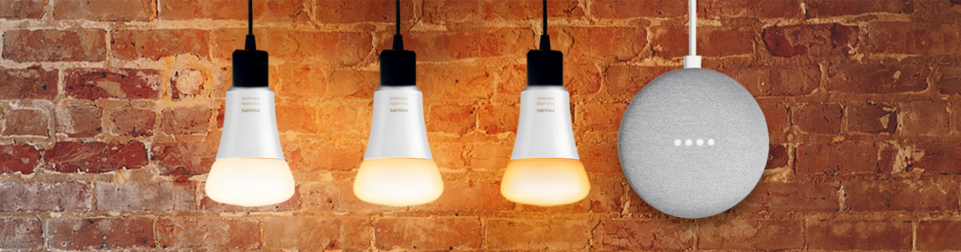 3 Phillips Hue Glühbirnen und grauer Google Home Mini vor Backsteinwand