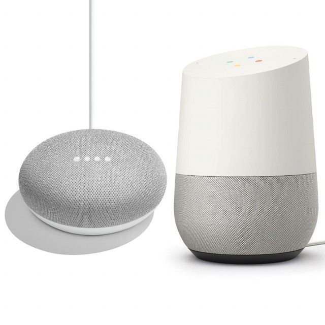 Google Home + Google Home Mini