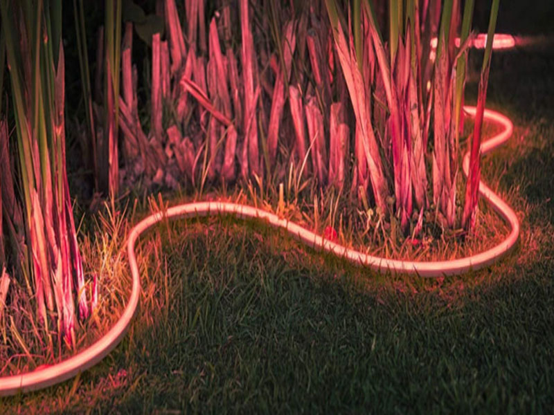Philips Hue LED Outdoor Lightstrip beleuchtet Schilf im Garten