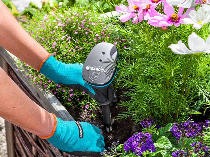 GARDENA smarter Wassersensor im Blumenbeet