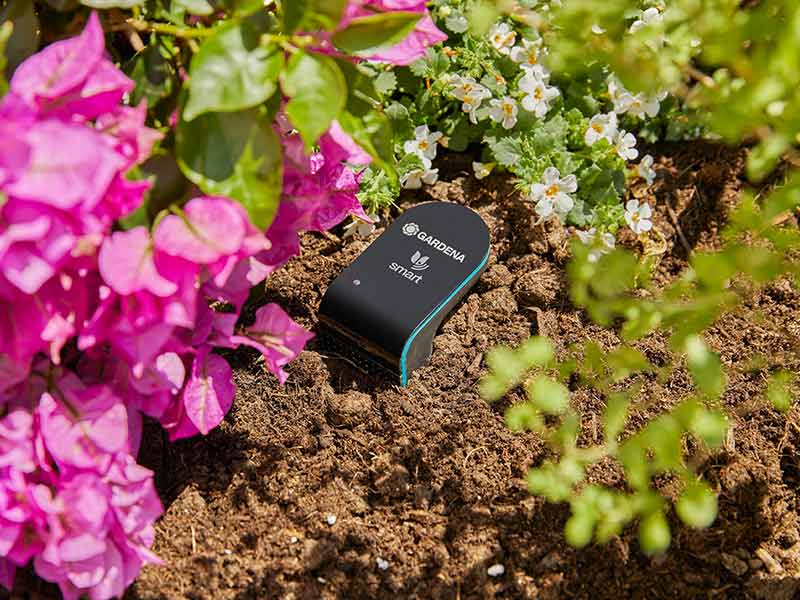 Der GARDENA Smart Sensor im Blumenbeet.
