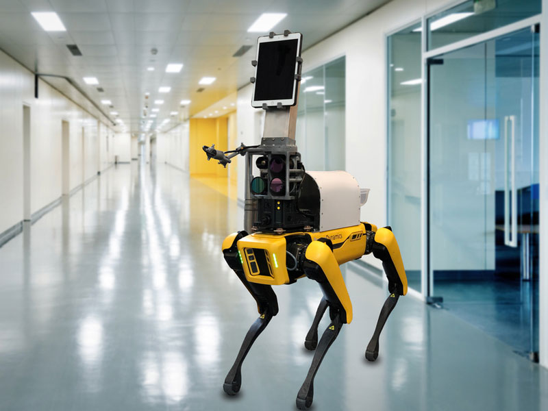 Roboterhund mit montiertem Bildschirm als Helfer im Krankenhaus