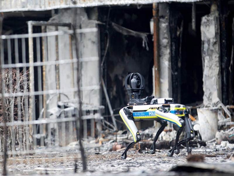 Tierroboter in einer Brandruine im Einsatz