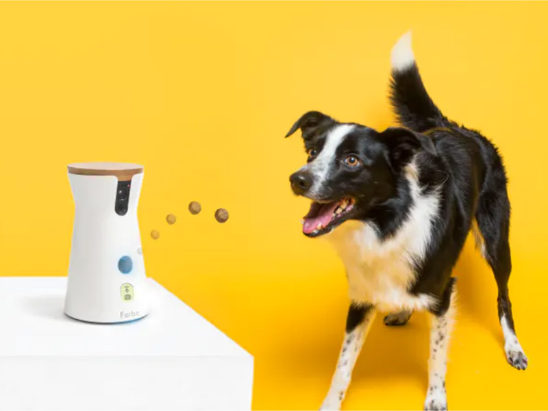 Furbo Hundekamera wirft Deinem Hund Leckerlis zu