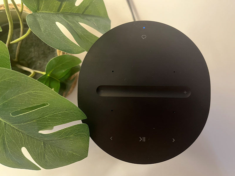 top-Ansicht des Sonos era 100