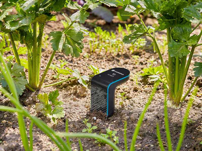 Gardena Smart Sensor misst Bodenfeuchtigkeit
