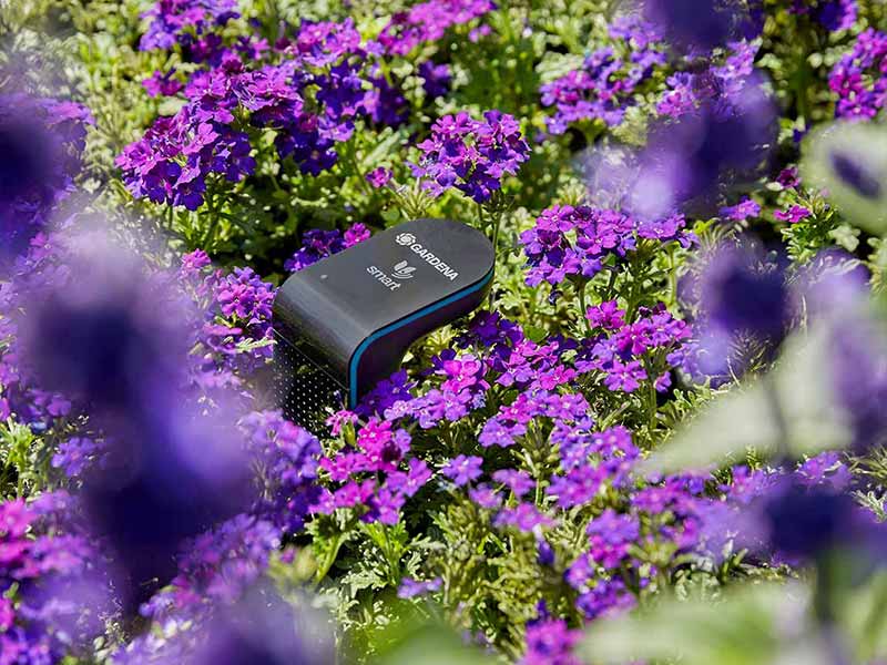 Gardena Smart Sensor macht automatisierte Bewässerung Deiner Garten Pflanzen smart