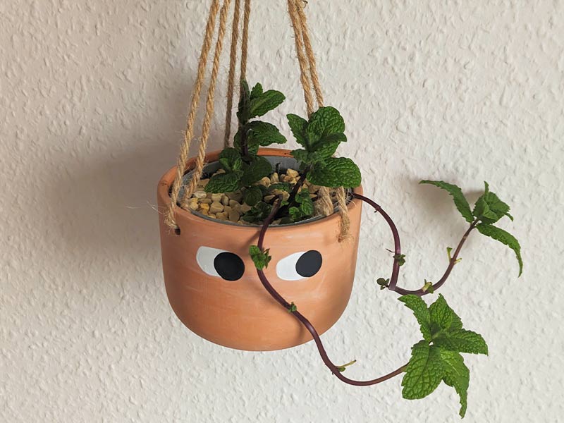 Pflanzenampel mit Mulch