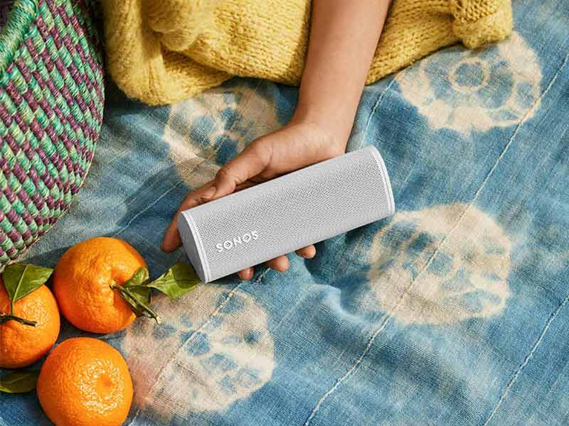 sonos roam beim picknick