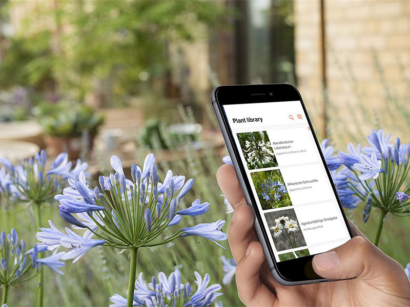 Pflanzen erkennen mit der Gardena App
