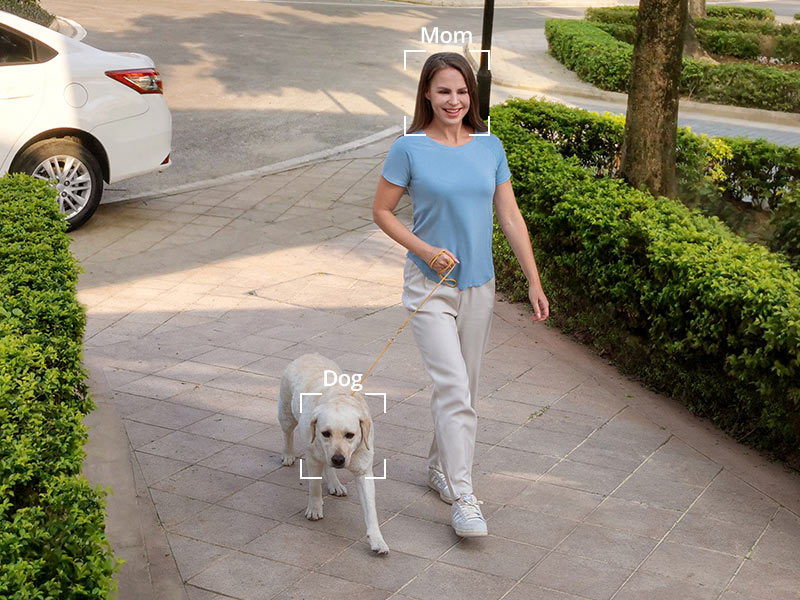 Personenerkennung bei einer Frau mit Hund.