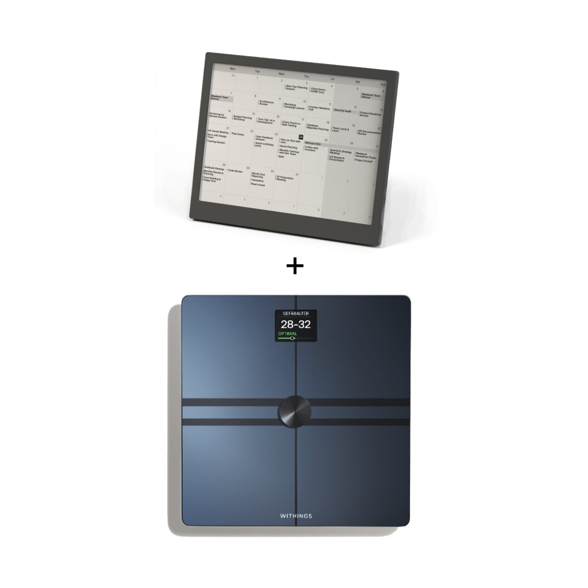 "TRMNL X - E-Ink Display (10,3") - 2er-Set"