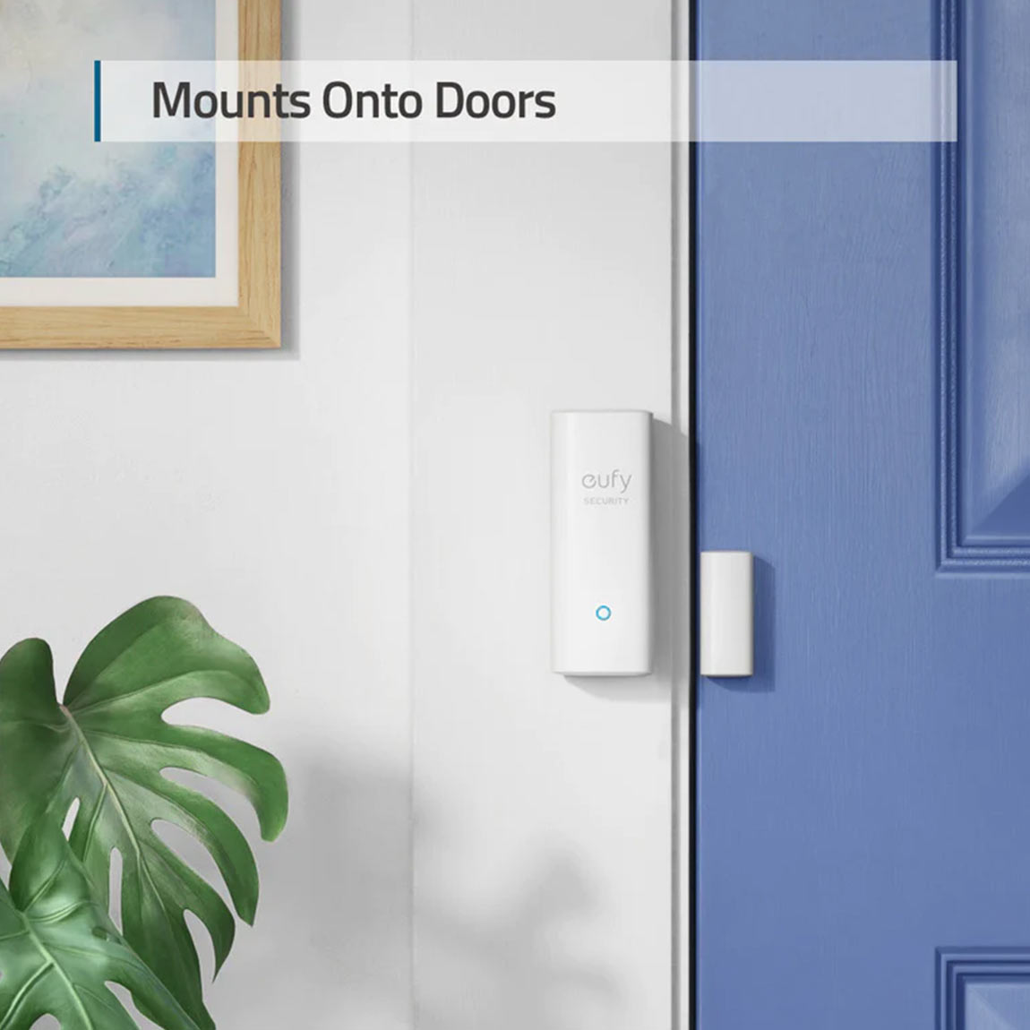 eufy Eingangs-Sensor 6er-Set