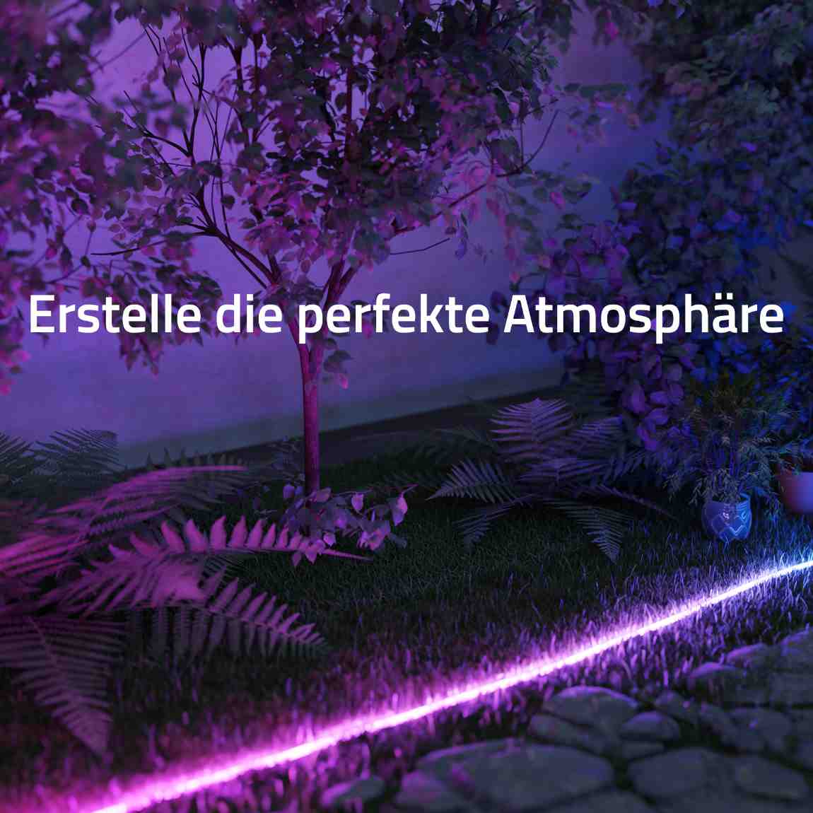 Hombli Neon Tube - 2er-Set