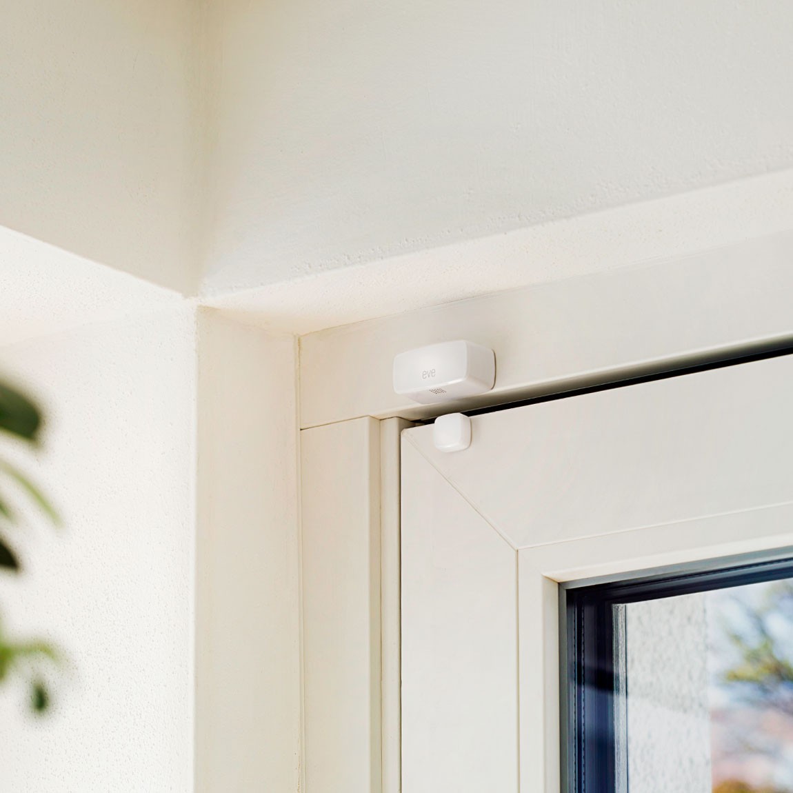 Eve Door & Window Matter 4er-Set - kabelloser Tür-/Fensterkontaktsensor