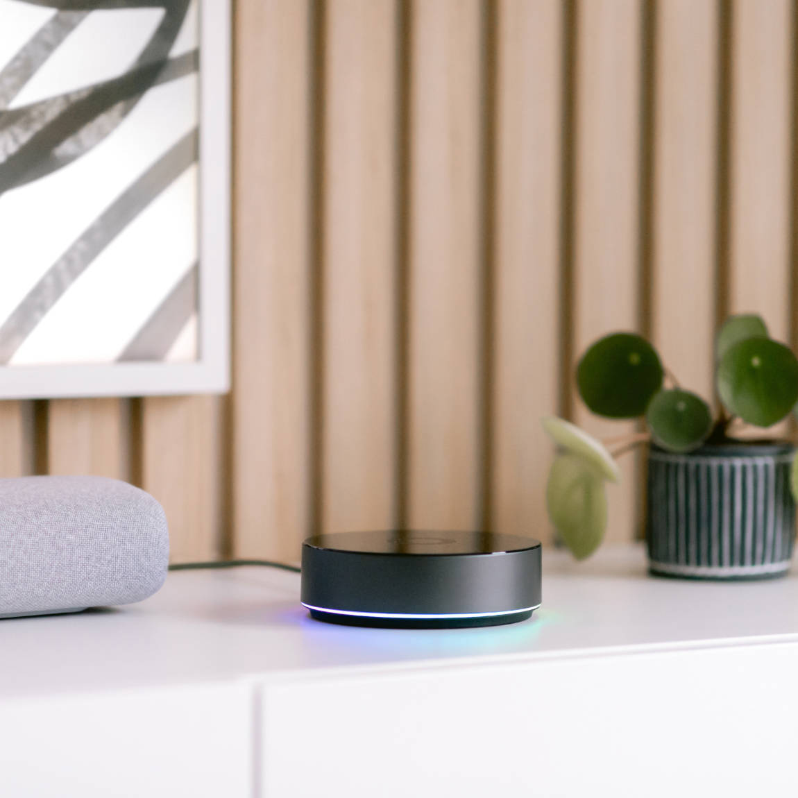 Homey Pro + Ethernet Adapter