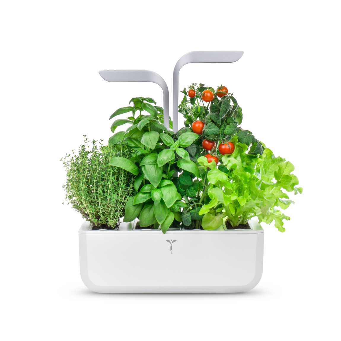 Veritable Véritable SMART - Indoor-Garten - Artic Weiß