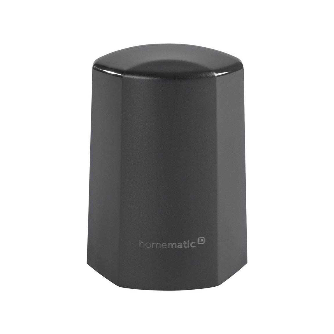Homematic IP Temperatur- und Luftfeuchtigkeitssensor – außen - Anthrazit