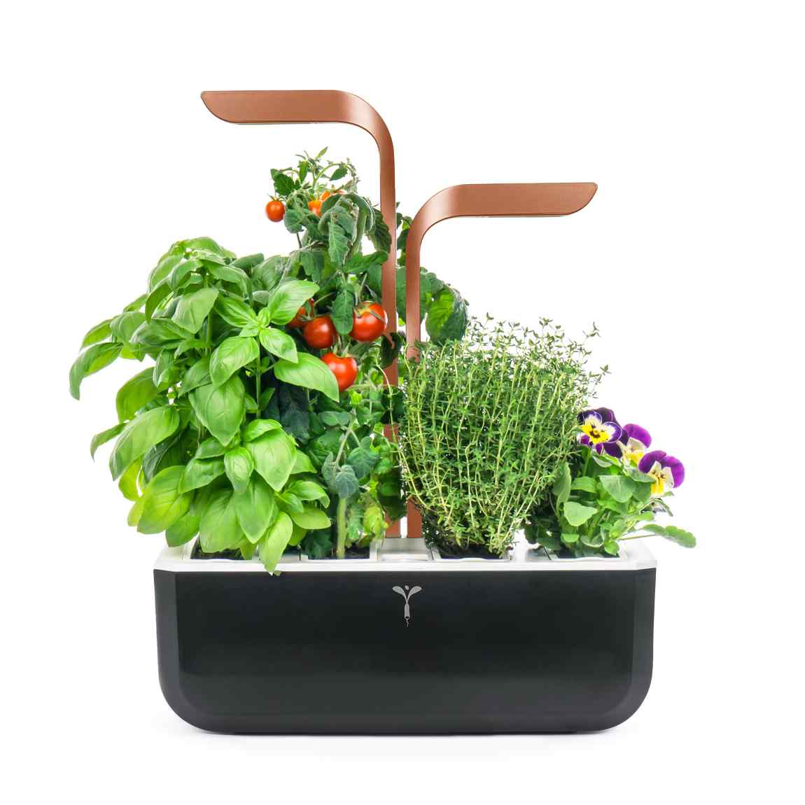 Veritable Véritable SMART - Indoor-Garten - Kupfer