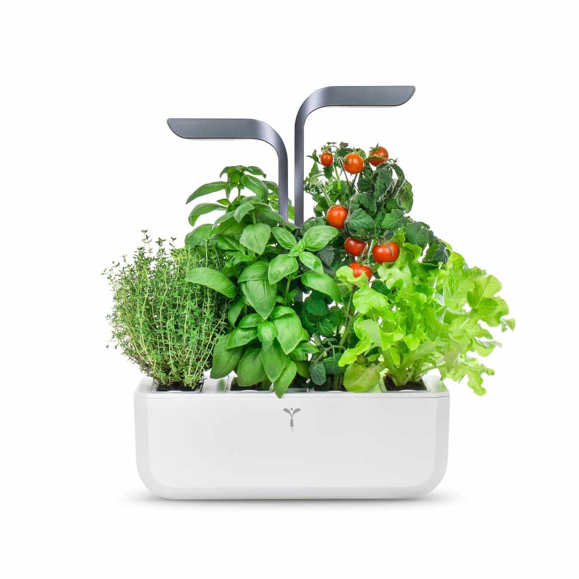 V&eacute;ritable CONNECT - Indoor-Garten - Infinite Grau