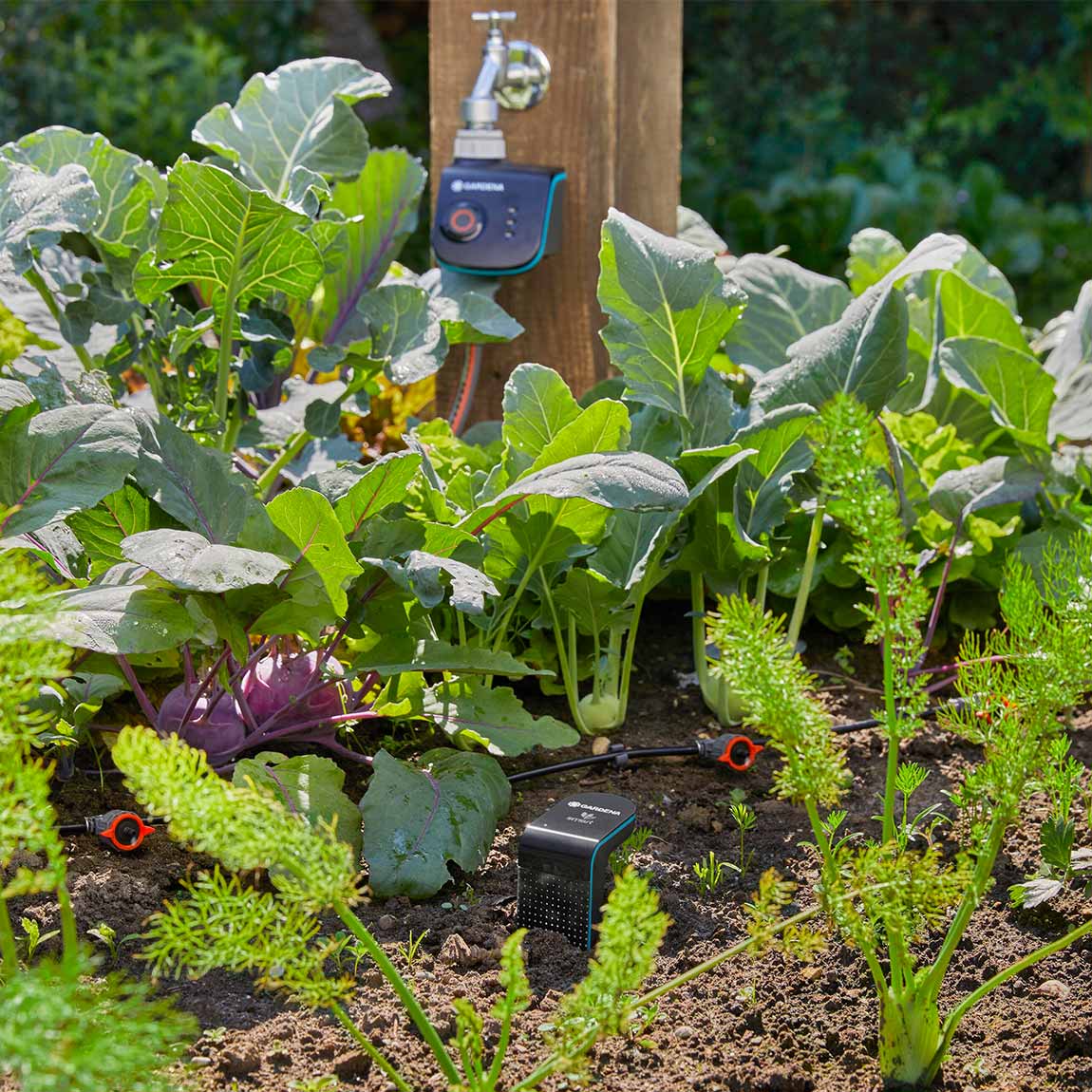 Thumbnail - GARDENA smart Sensor 2er-Set