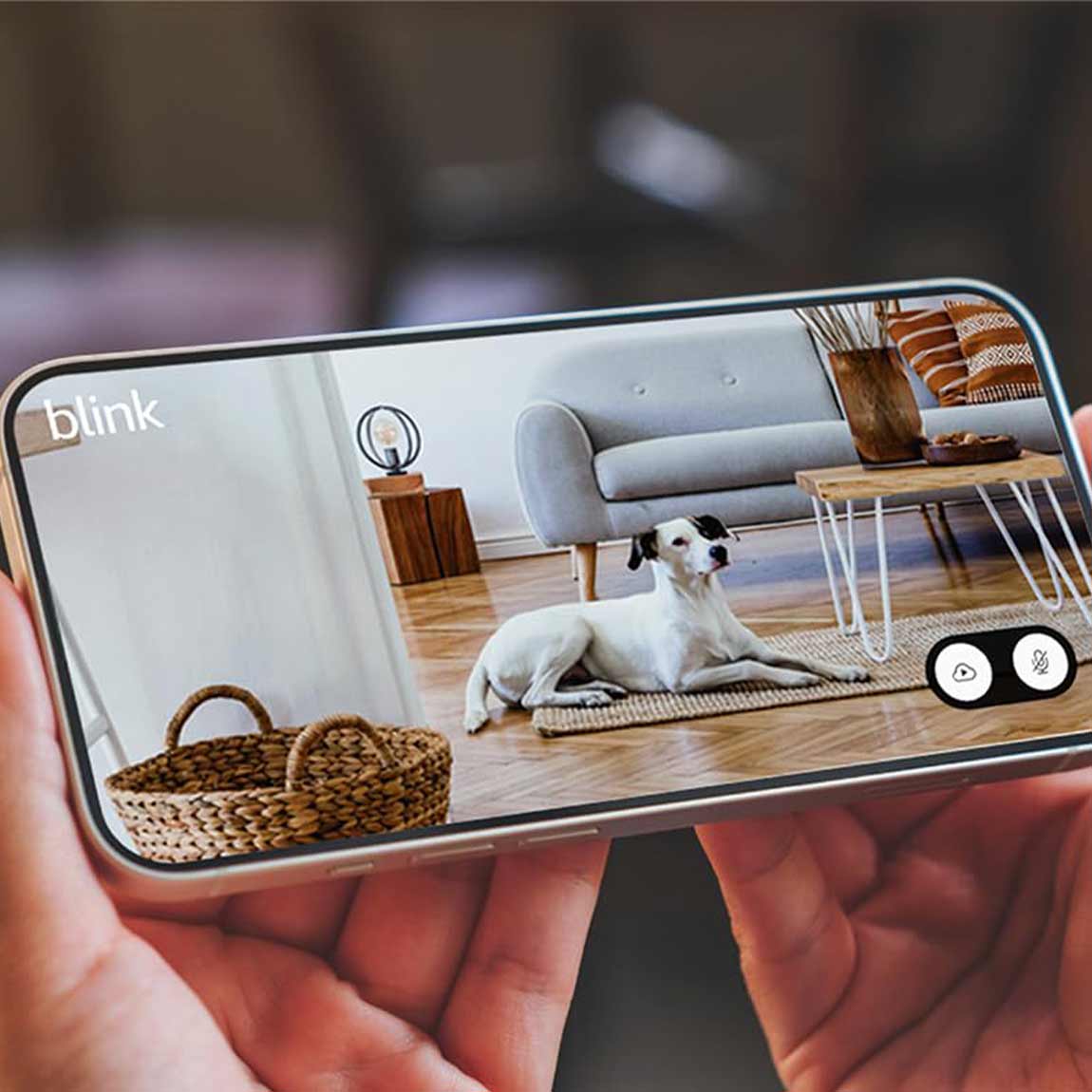 Thumbnail - Blink Mini 2 - Kamera - Weiß