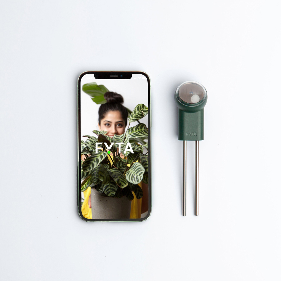 FYTA Beam smarter Pflanzensensor mit Smartphone
