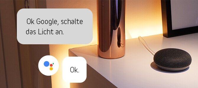 Google Home Systemwelt