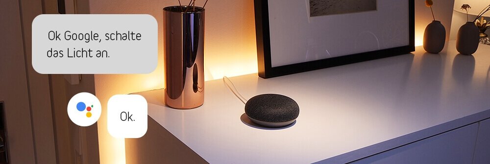 Google Home Systemwelt