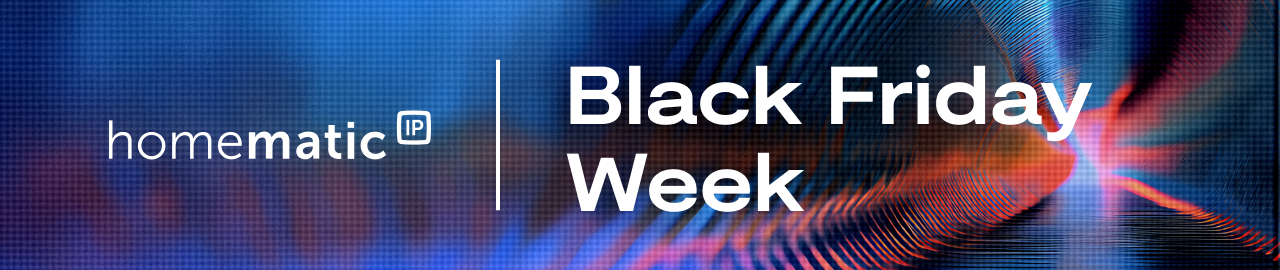 Black Friday Banner